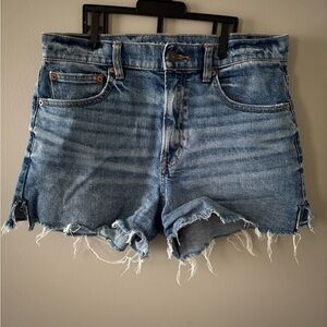 American Eagle 90s Boyfriend Shorts - Highest Rise